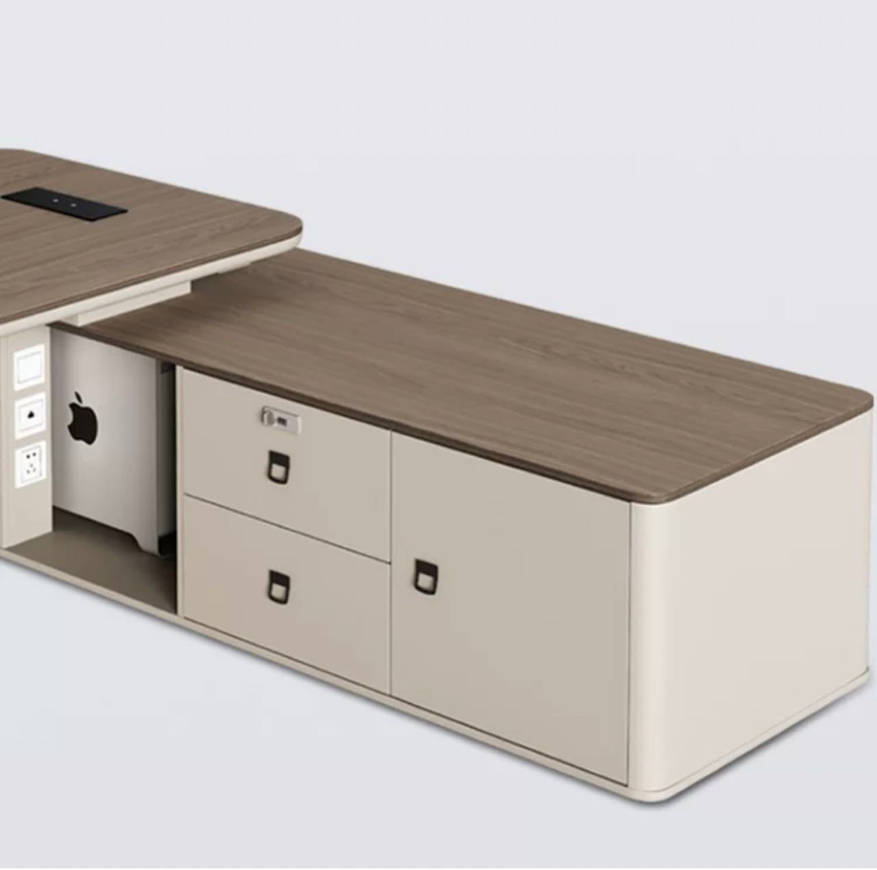 Modern Aesthetics Office Desk