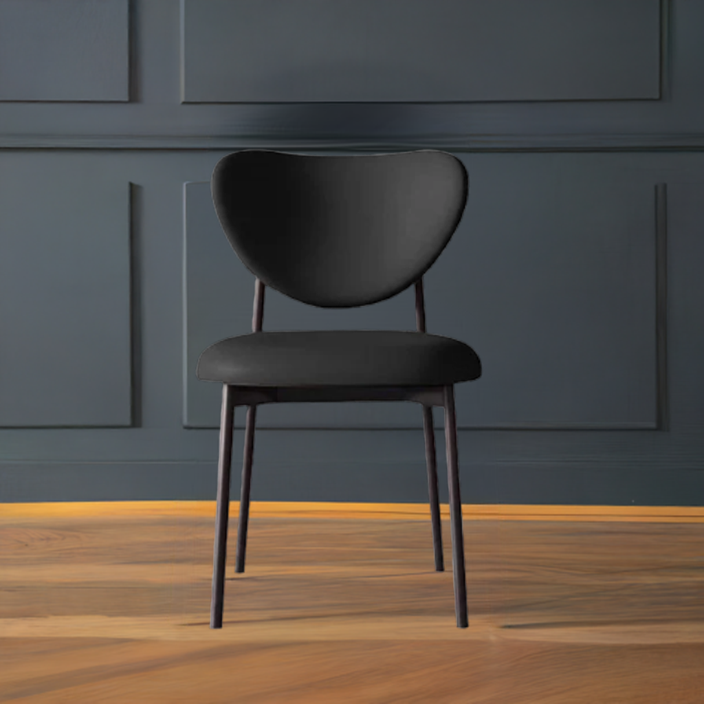 Modern Black Chair