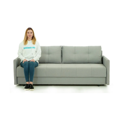 Comtemporary Sofa Bed