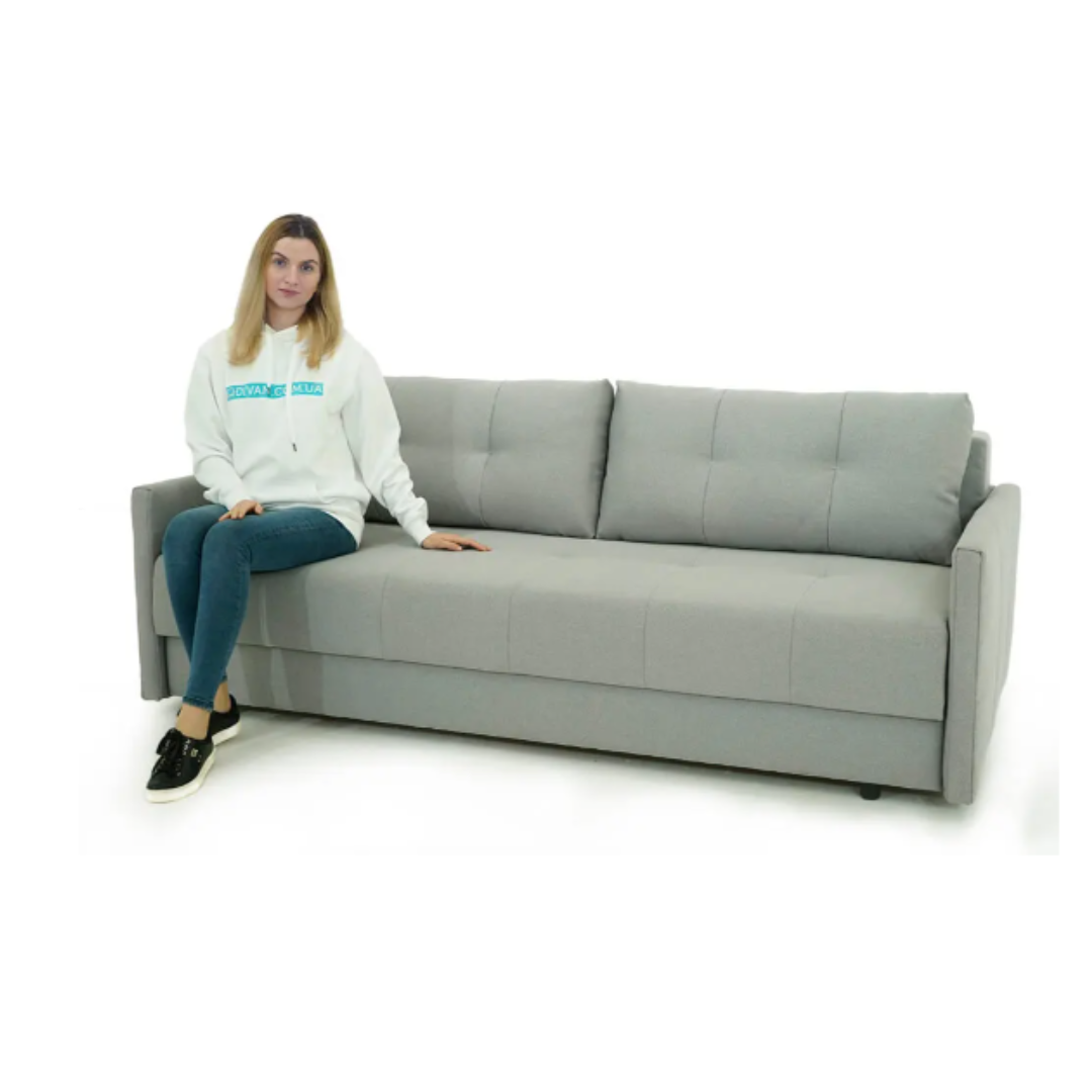 Comtemporary Sofa Bed