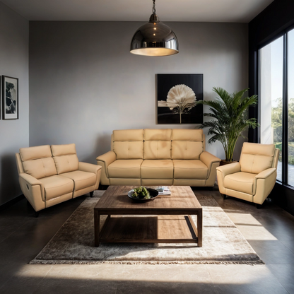 Italian Modern Luxury Sofa 1+2+3